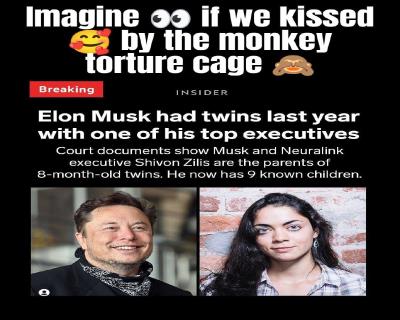 Random Memes and Jokes (555) Thumbnail